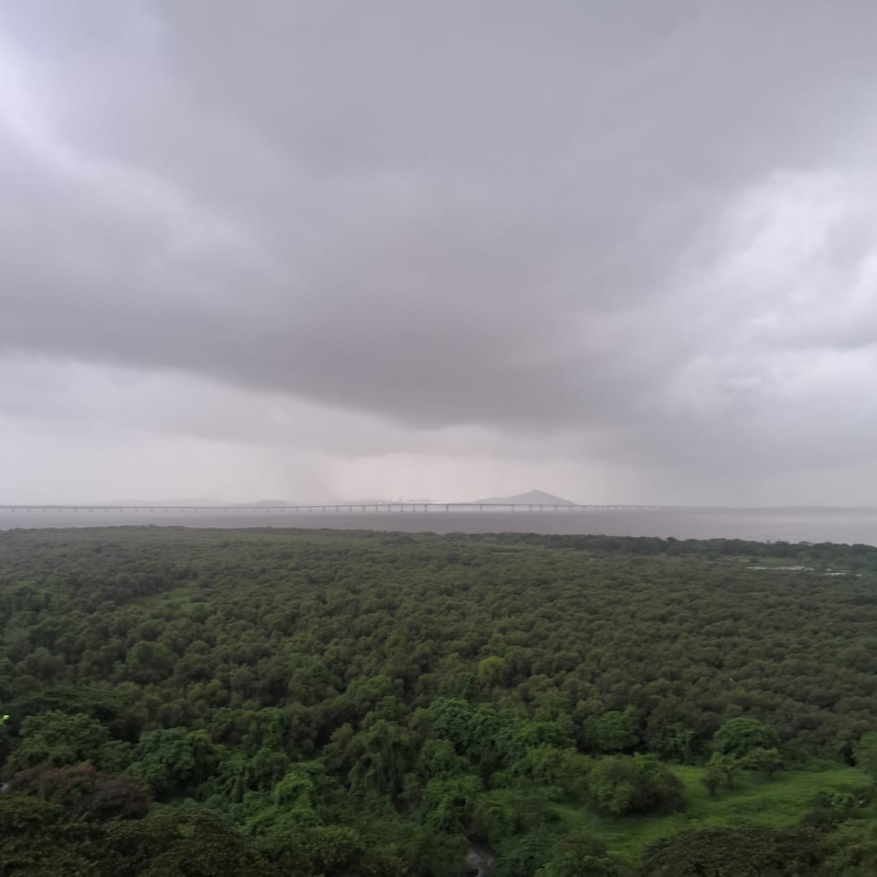 Sea View Serviced Apartments